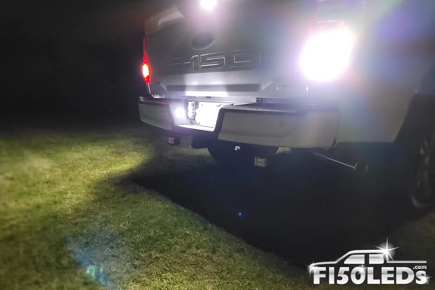 2021 - 2023 F150 License Plate Tag LED Bulbs