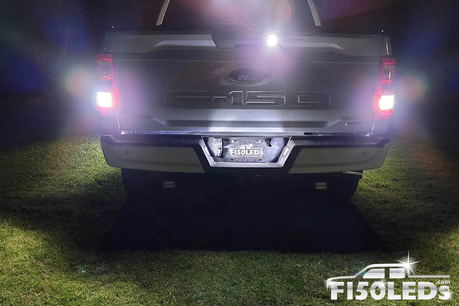 2021 - 2023 F150 License Plate Tag LED Bulbs