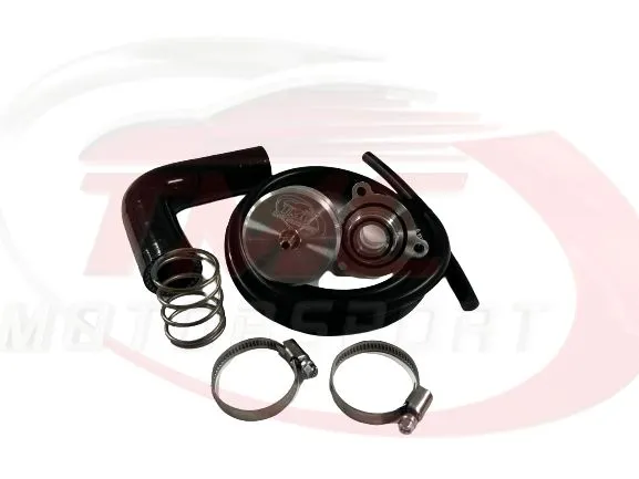 Abarth Punto Evo TMC Motorsport Garrett GT1446 Blow Off Valve Kit