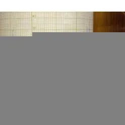 Barograph - Mahogany Case- German Made
