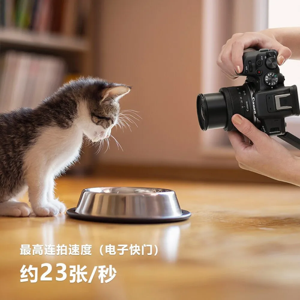 Camera Canon EOS R10 HD RF-S 18-45mm