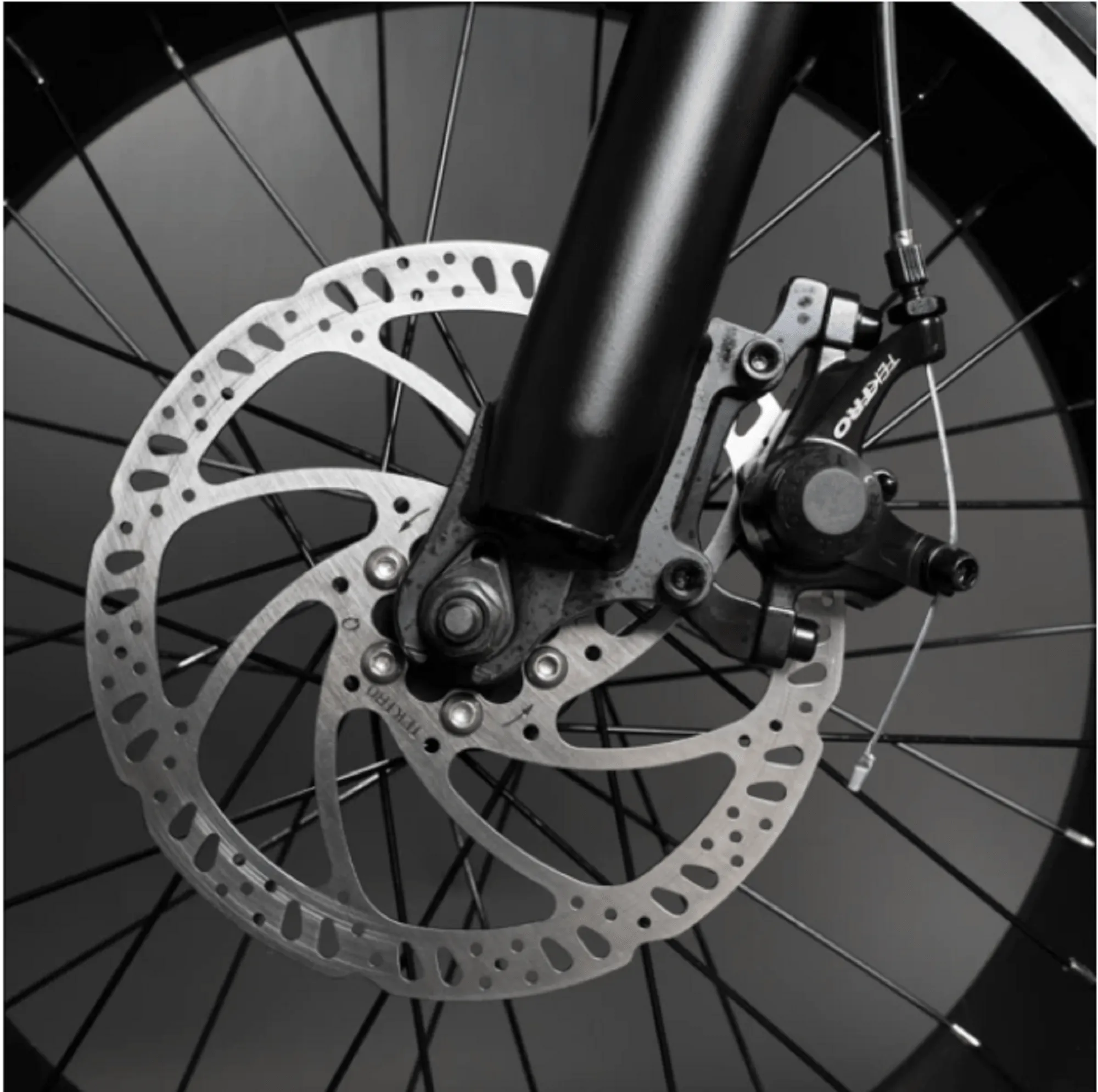 CLEARANCE - Rattan 750W LF Fat Tire Folding Electric Bike - Black