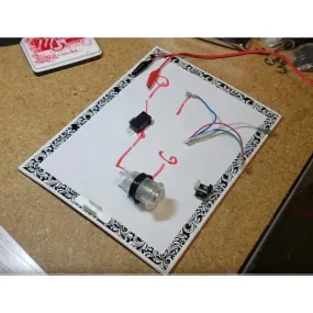 EZ RGB Harness