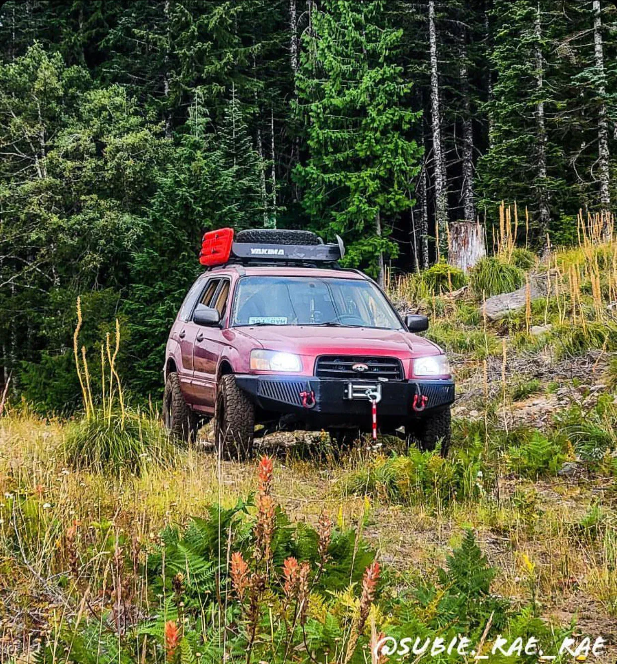 Flatout Coilovers Subaru Forester SG (2003-2008) Lift Kit - GR Lite Off-Road Suspension