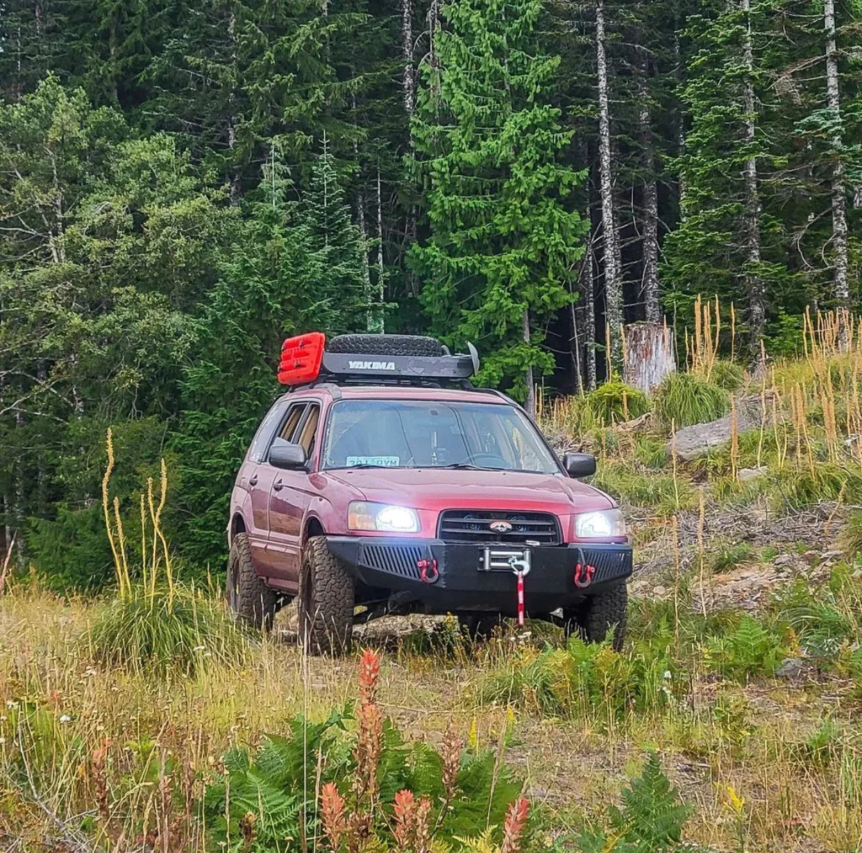 Flatout Coilovers Subaru Forester SG (2003-2008) Lift Kit - GR Lite Off-Road Suspension