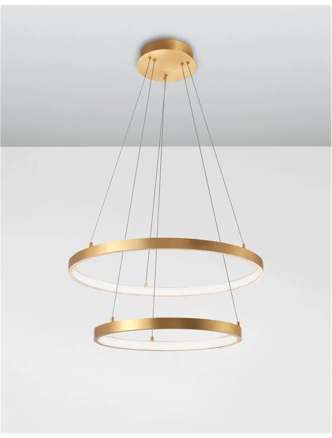LEO Gold Leaf & Acrylic Twin Ring Adjustable Pendant - ID 10466