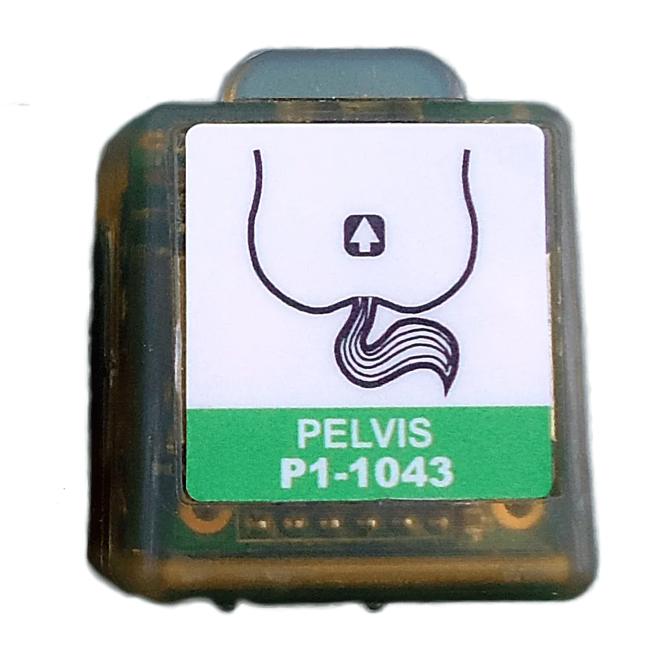 Replacement Sensor